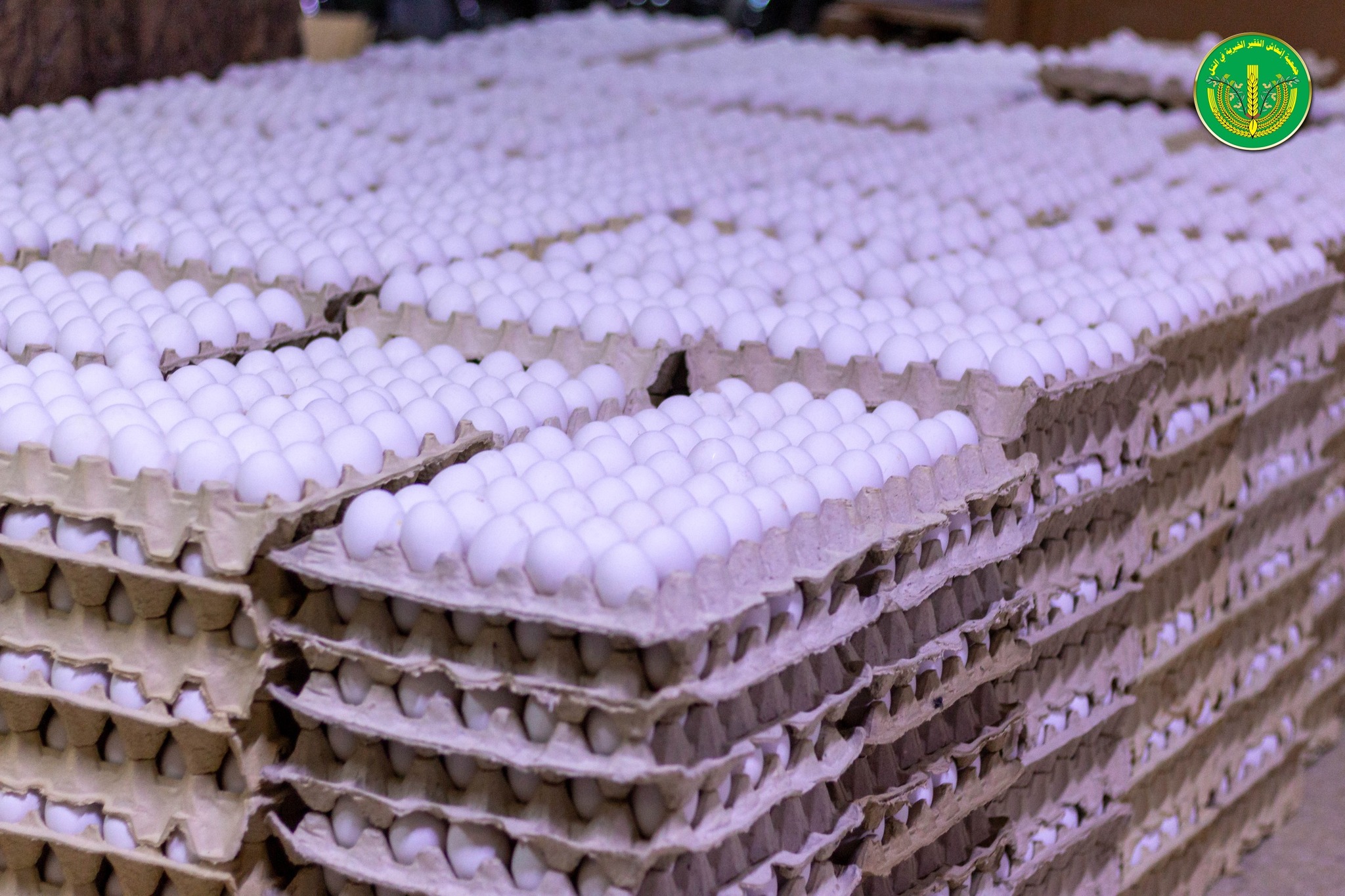 الانتهاء من توزيع المساعدات المالية والعينية للشهر الرابع للمدرجين والأيتام.💚✨